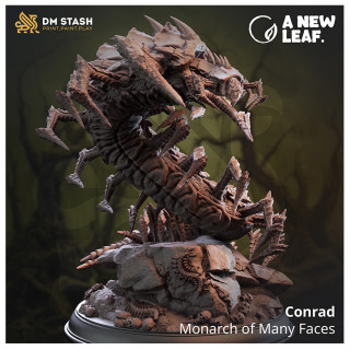 Mille-pattes de Conrad