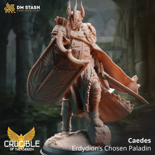 Caedes, Paladin d'Erdydion